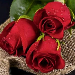 Meet your Posher, Kiana